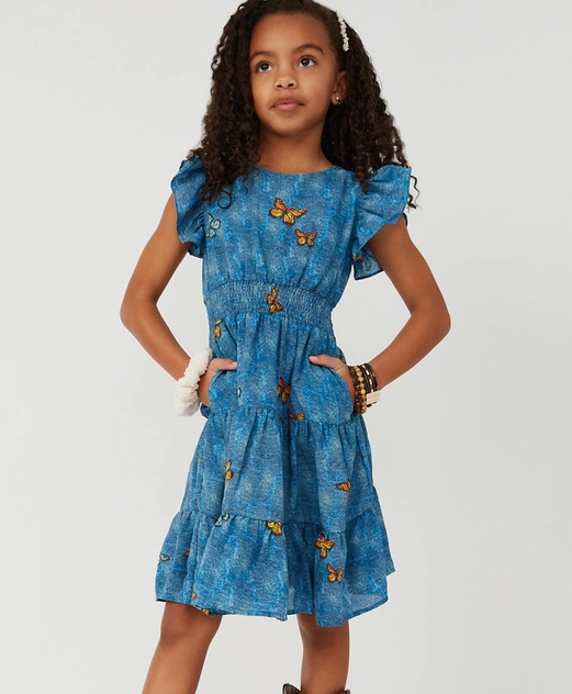 Smithsonian Butterfly Smocked Waist Dress - Tween