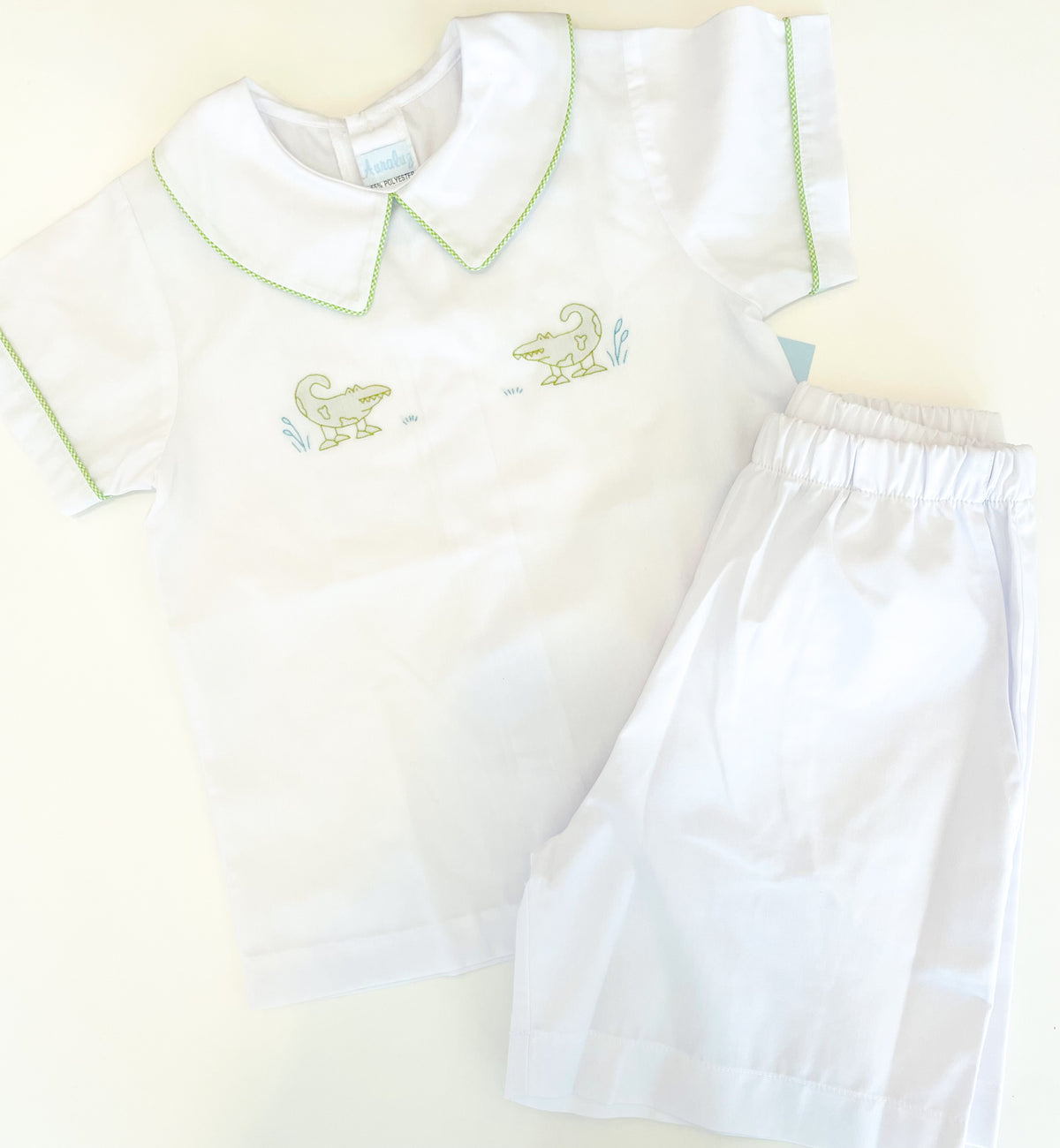 2 piece BOY LIME ALLIGATOR 5836