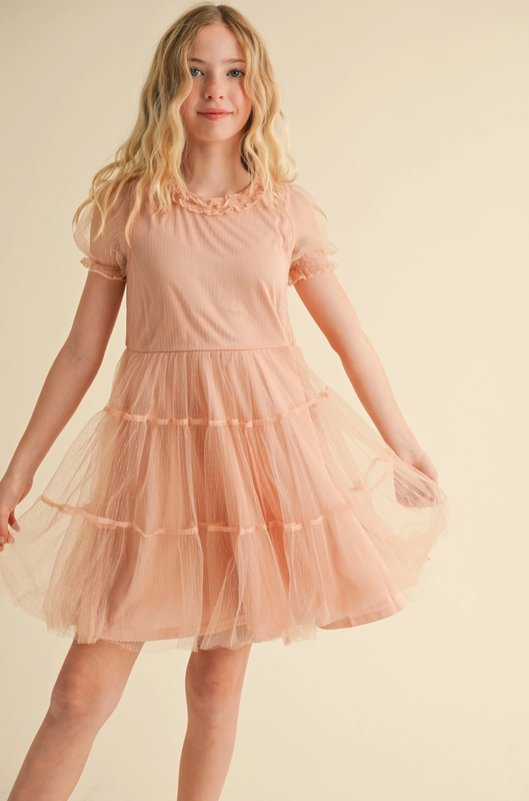 Puff Sleeve Tiered Mesh Mini Dress