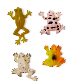 Colorshift Froggy