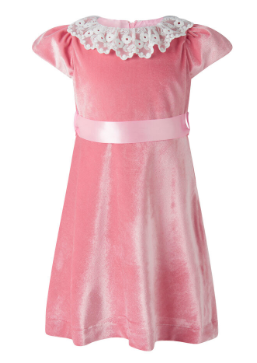 Lace Collar Velvet Dress