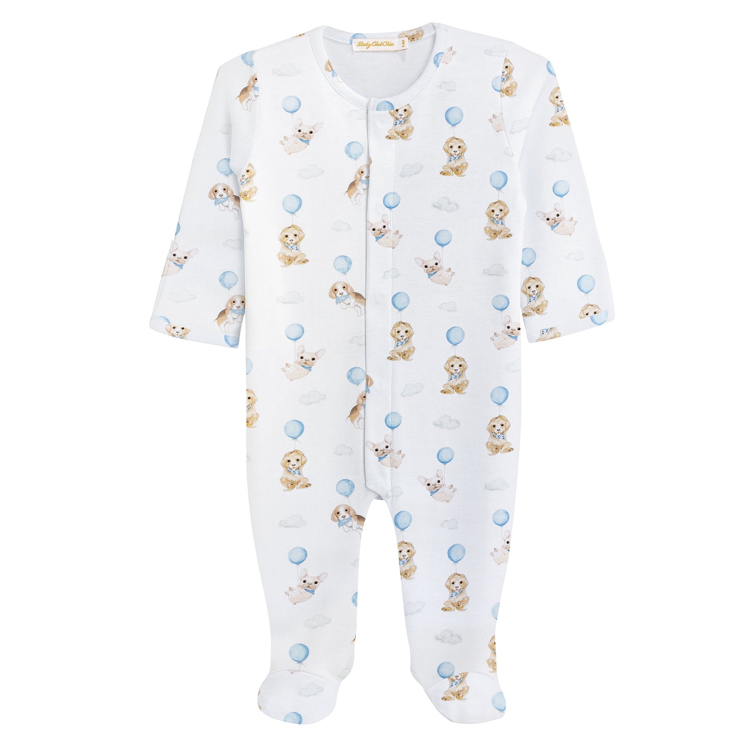cute puppies BLUE footie