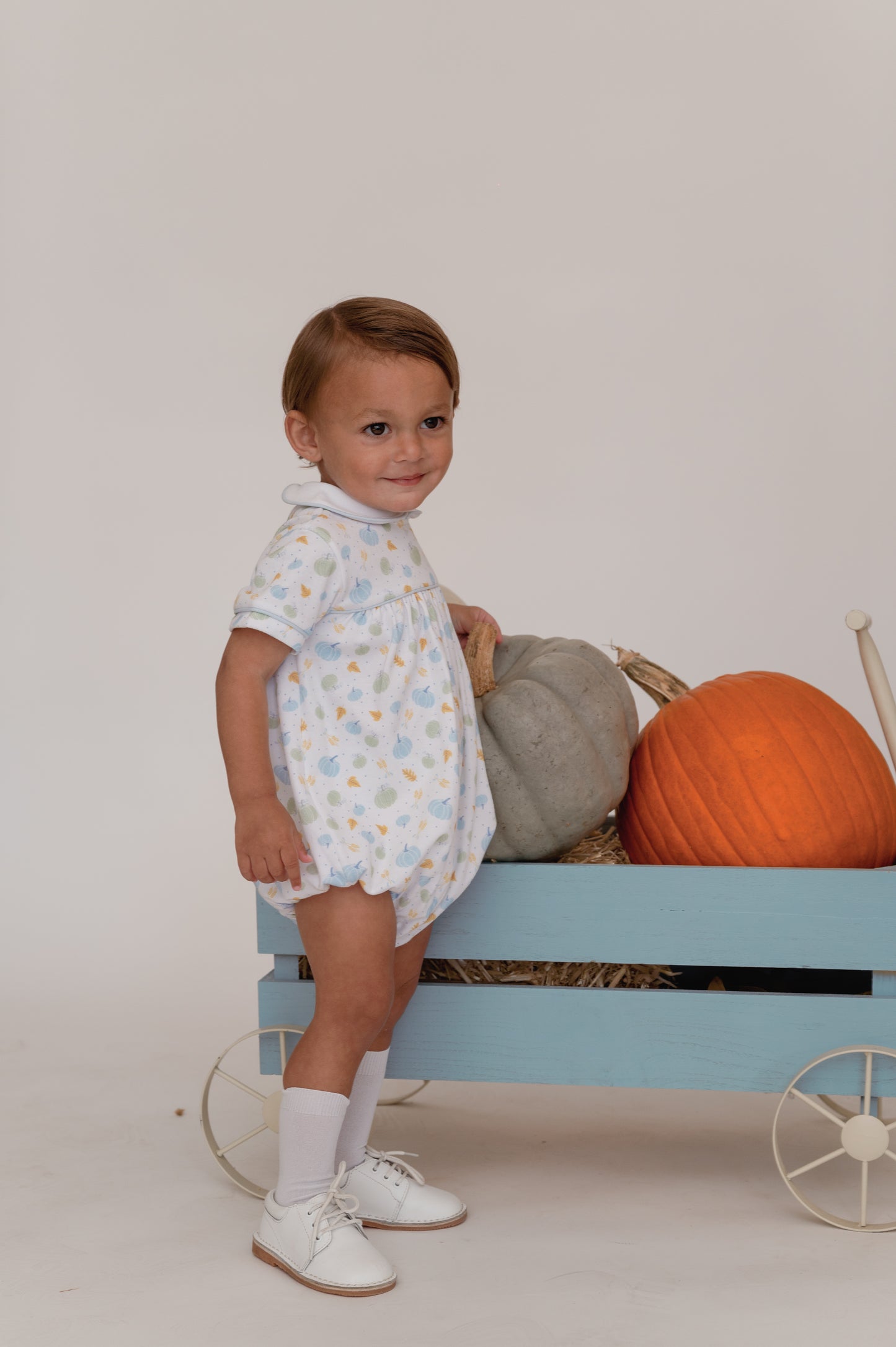 Harvest Festival - Covington Bubble - Pumpkin