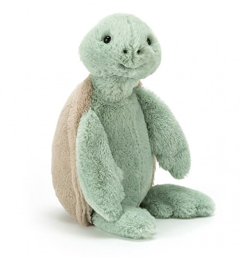 Bashful Turtle Little