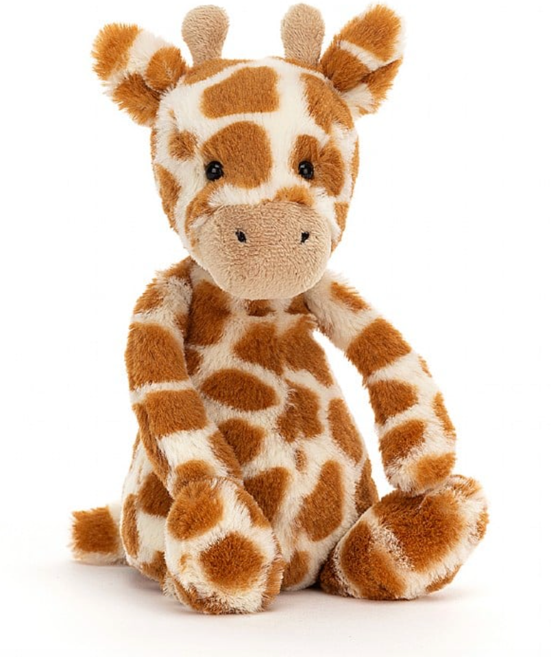 bashful giraffe small