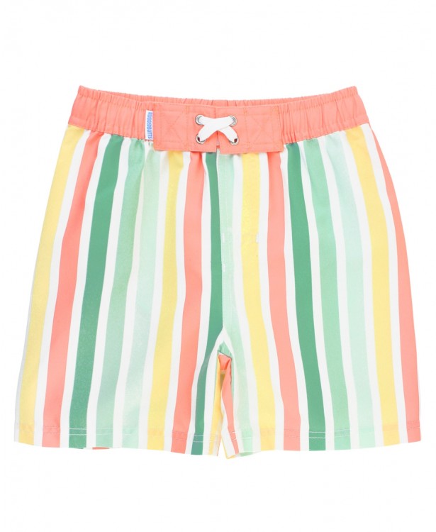 Saltwater Stripe Swim Trunks