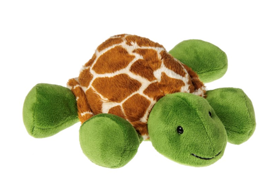 PokeyBelly Turtle