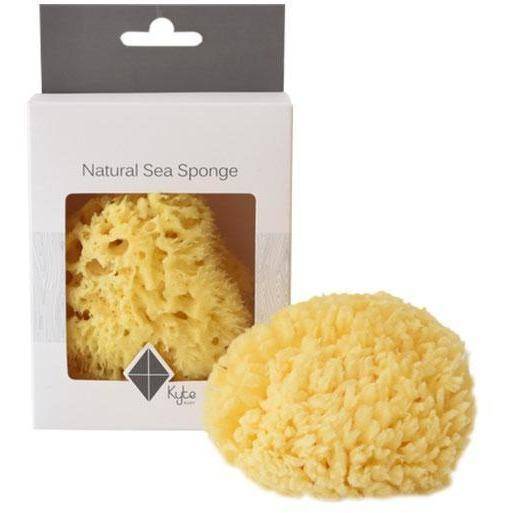 Sea Sponge