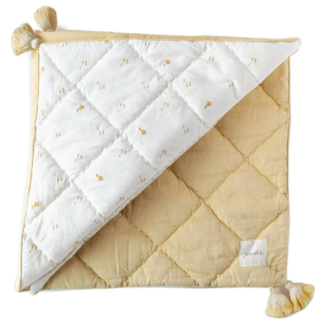 Hatchling Blanket Duck