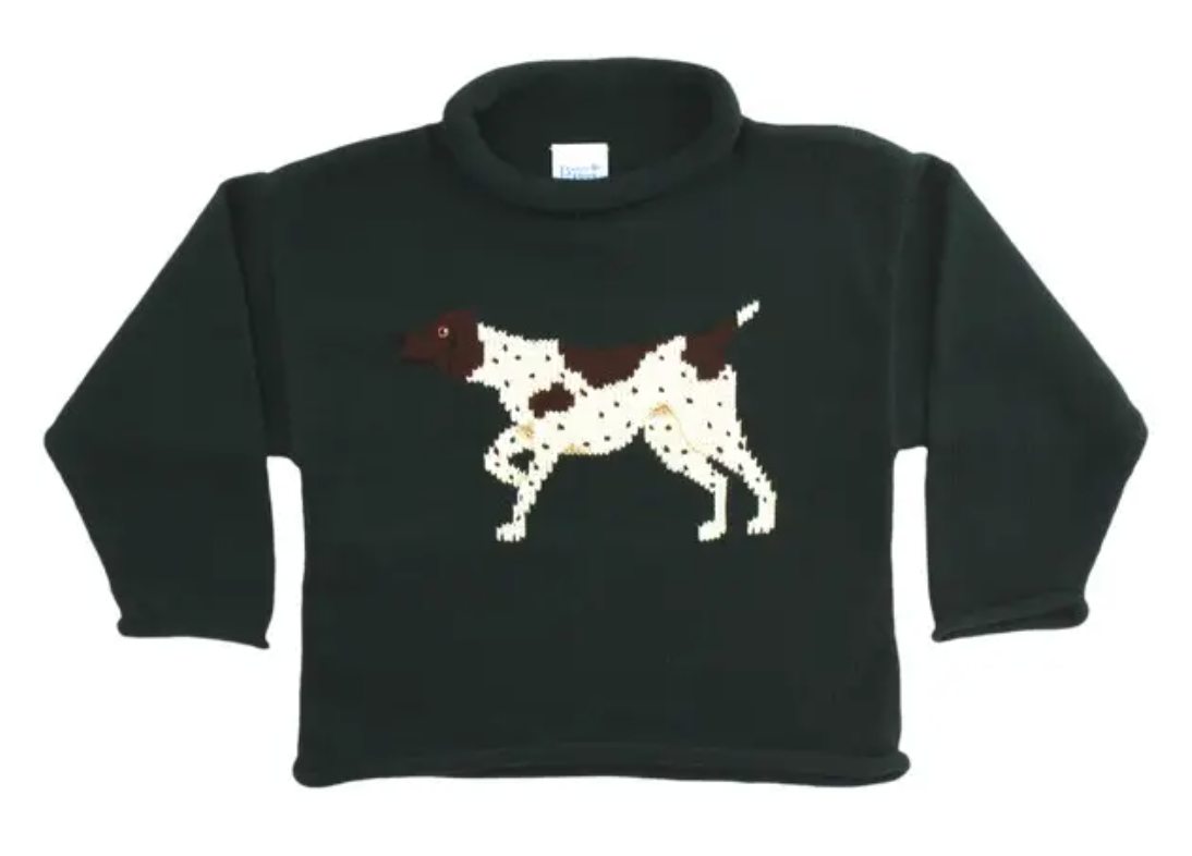 Roll Neck Sweater Pointer