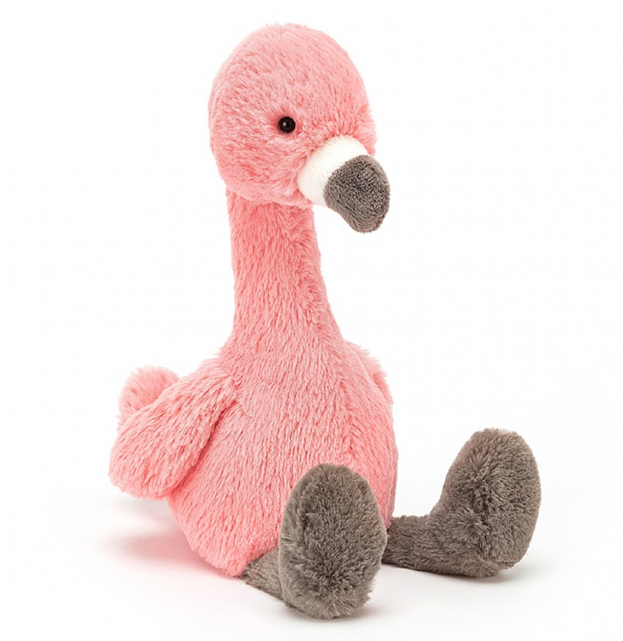 Bashful Flamingo Medium