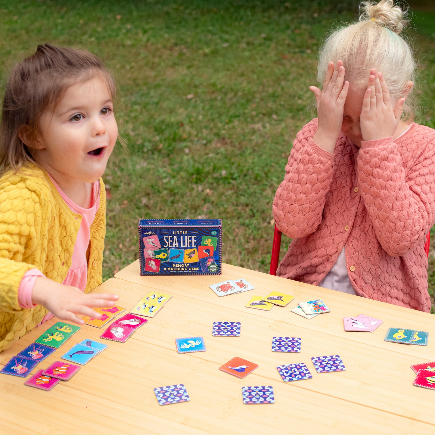 Sea Life Little Matching Game