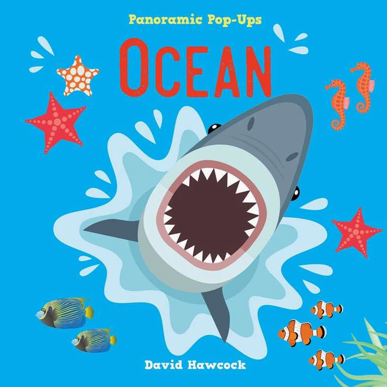 Panoramic Pop Up Ocean By David Hawcock