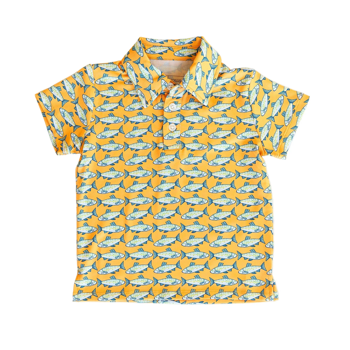 Kyle Polo - Amalfi Fish