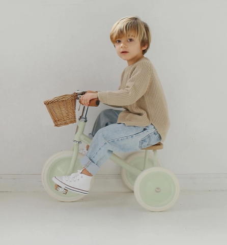 Trike Vintage Mint Bike