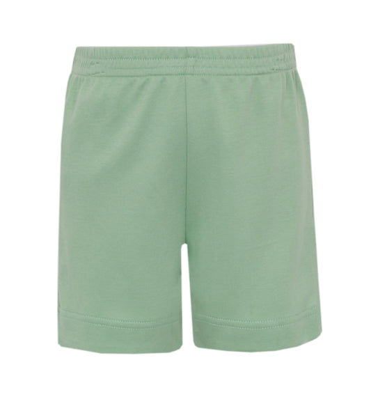 Boy's Short Pastel Green Knit