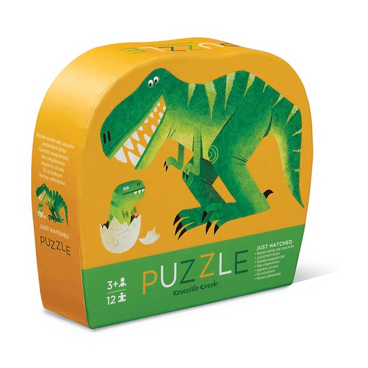 12-Piece Shaped Box Puzzle