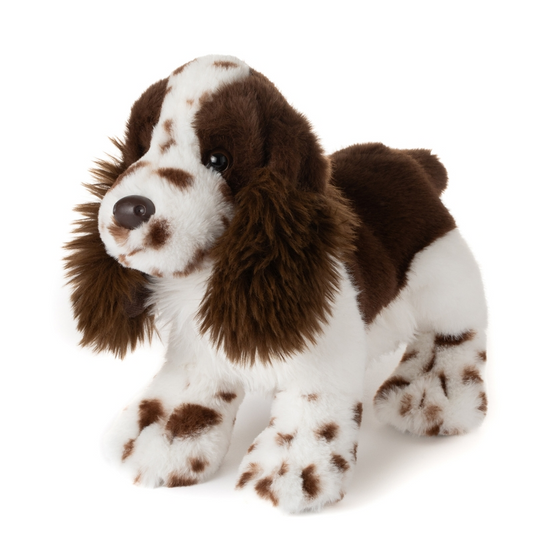 New Springer Spaniel Dog Medium 10"