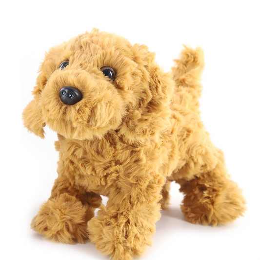 New Golden Labradoodle Dog Small