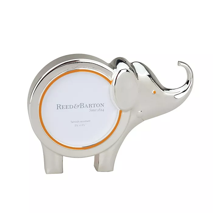 Jungle Parade Elephant Frame