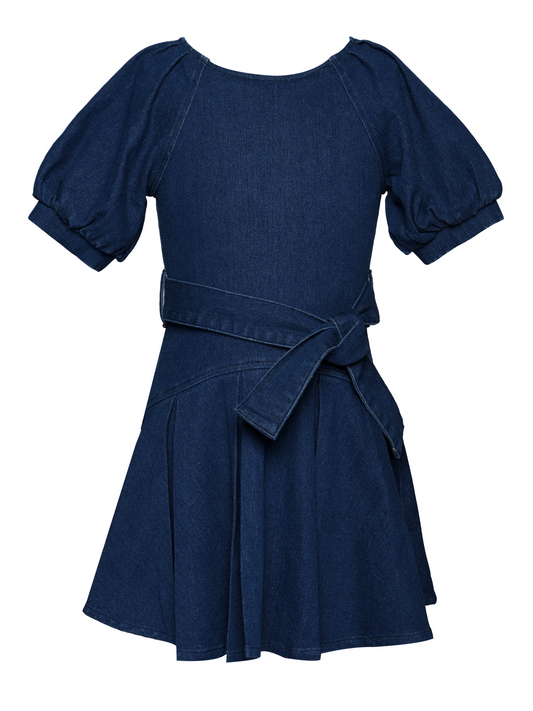 Denim Puff Sleeve Fit & Flare Dress w/Sash