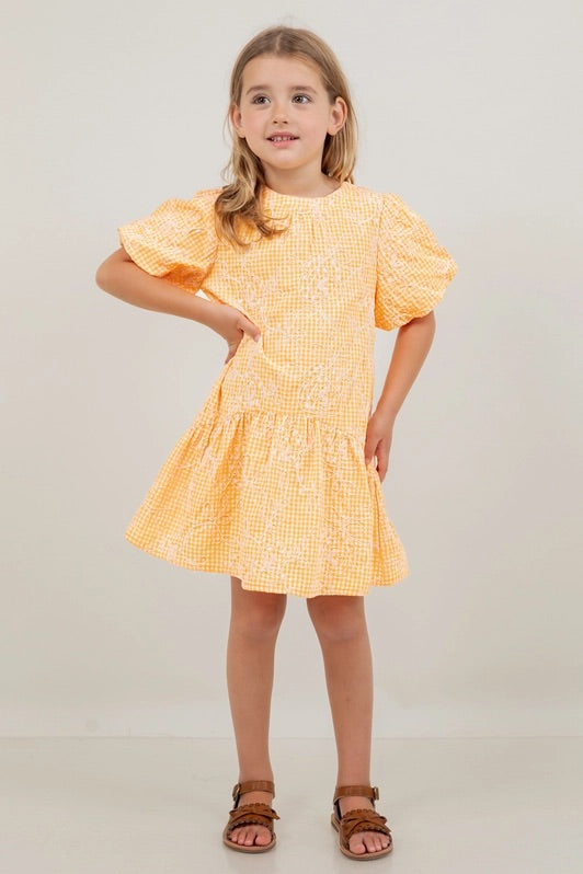 Floral Embroidered Gingham Bubble Sleeve Dress 10013K