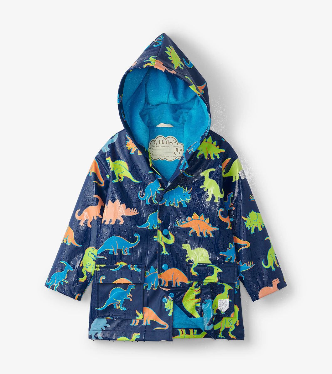 Linework Dinos Color Changing Raincoat