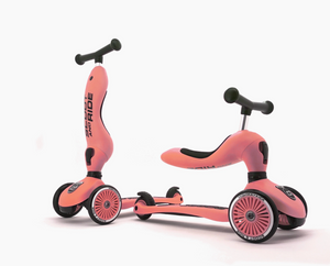 Scoot and Ride HighwayKick1