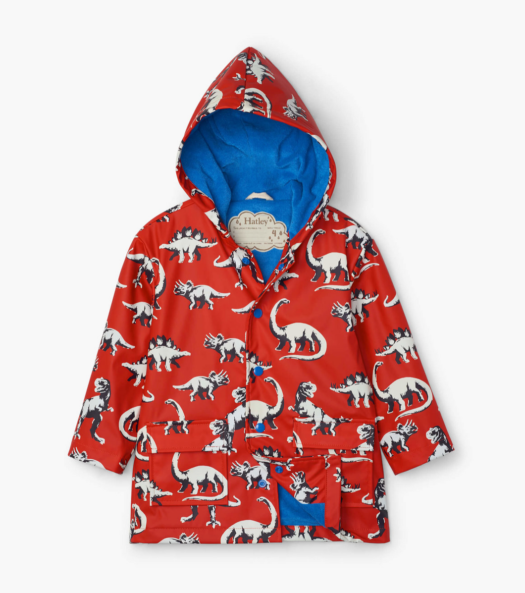 Silhouette Color Changing Dinos Raincoat