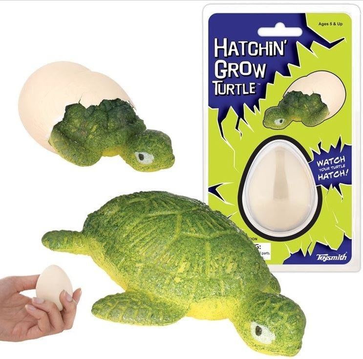 Hatchin Grow Turtle