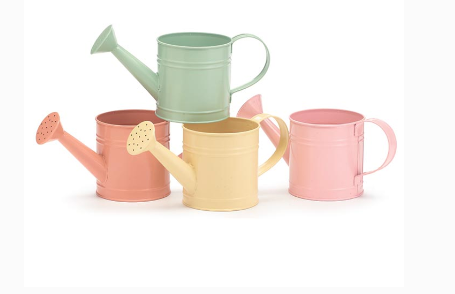 Spring Watering Can