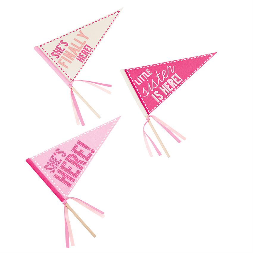 Little Sister Pennant Toy