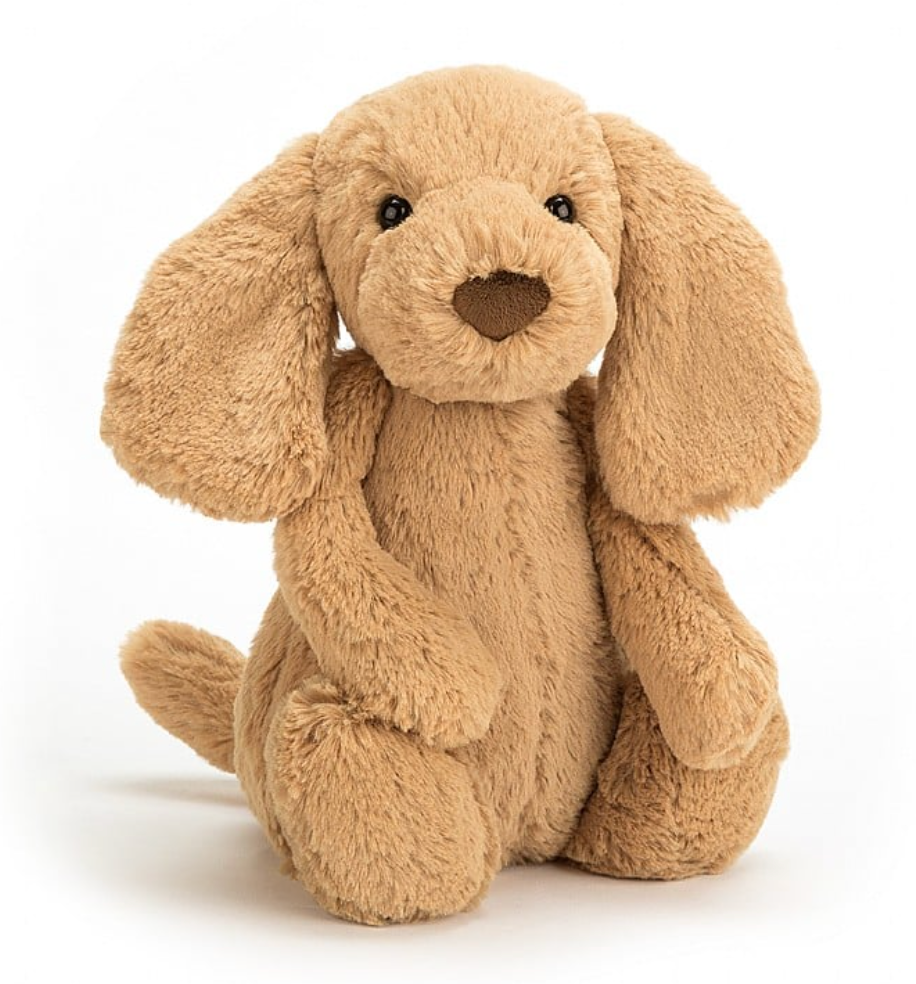 Bashful Toffee Puppy Medium