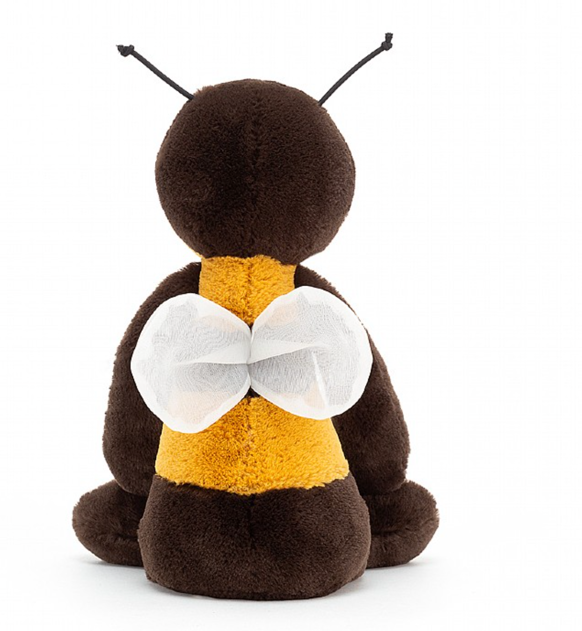 Bashful Bee Medium