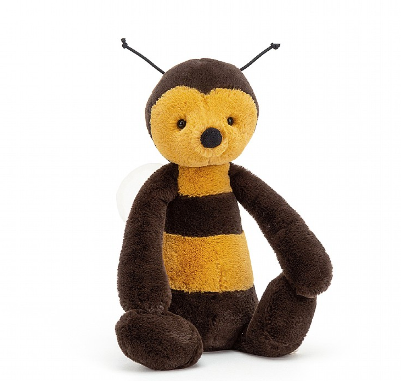 Bashful Bee Medium