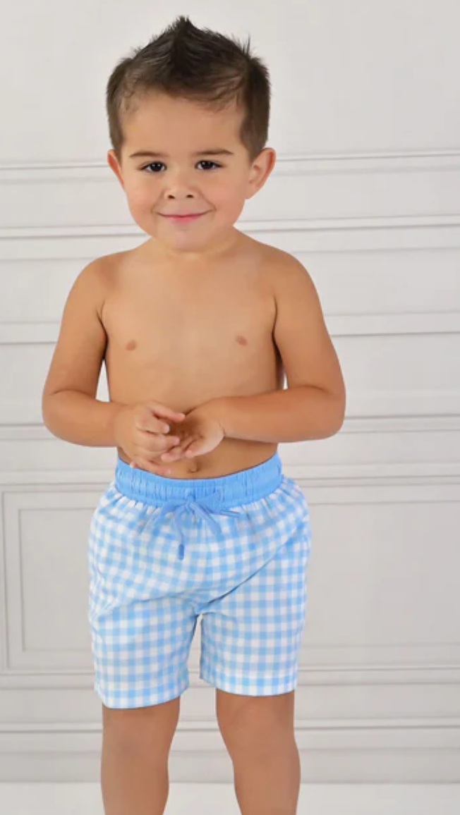 Boys Swim Short Blue Gingham