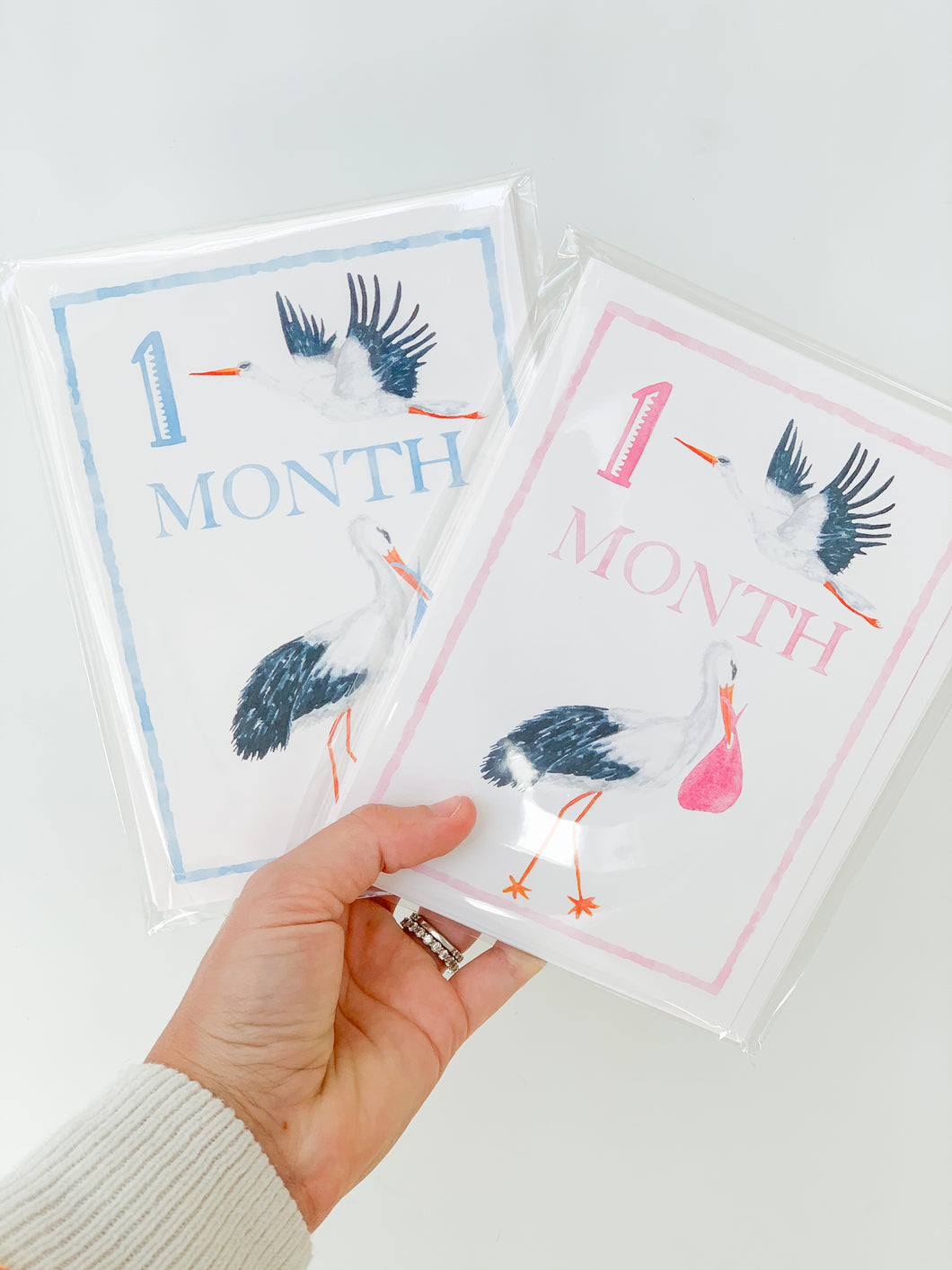 Baby Girl Monthly Milestone Cards